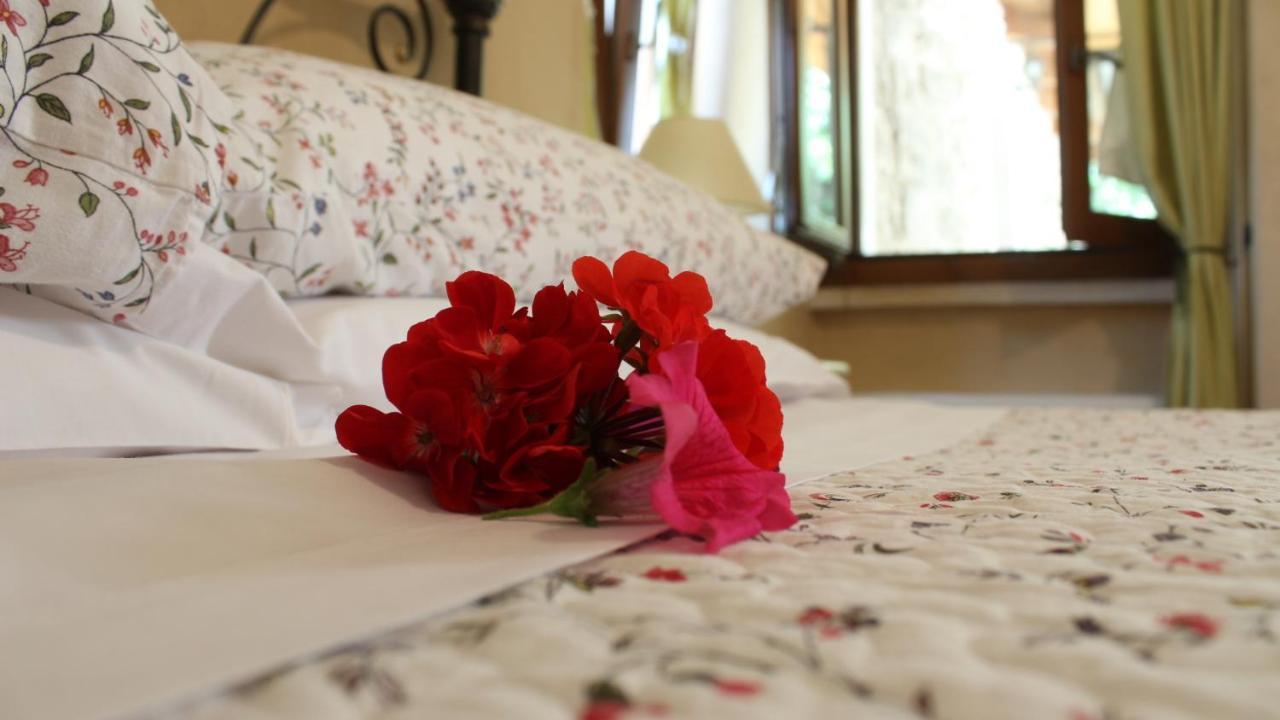B&B Lo Gnomo Pennapiedimonte Dış mekan fotoğraf